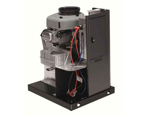 Генератор газовий Briggs & Stratton G60