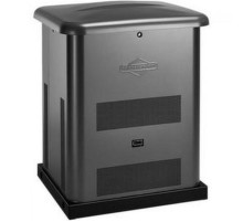 Генератор газовий Briggs & Stratton G80