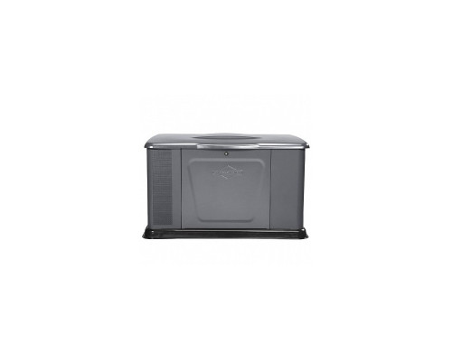 Генератор газовий Briggs & Stratton G110