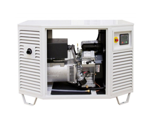 Генератор газовий Endress ESE 808 GF (8080103)