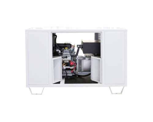 Генератор газовий Endress ESE 808 GF (8080101)