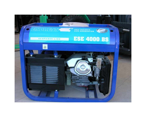 Генератор бензиновий Endress 4000 BS