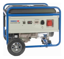 Генератор бензиновий Endress ESE 6000 DBS