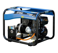 Генератор газовий SDMO Perform 4500 GAZ