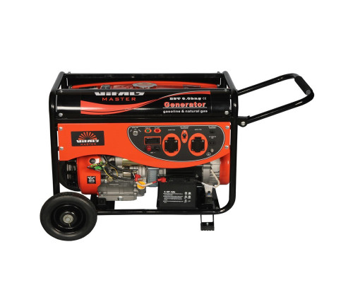 Генератор Vitals Master EST 6.0 bng