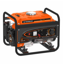 Генератор бензиновий Tekhmann TGG-11 RS