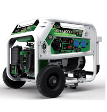 Генератор бензин - газ Genergy Natura 3000