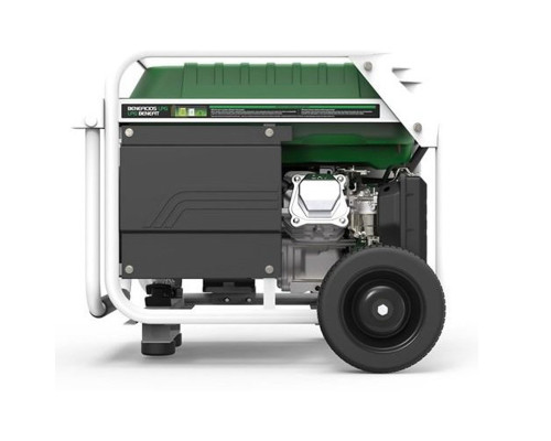 Генератор бензин - газ Genergy Natura 3000