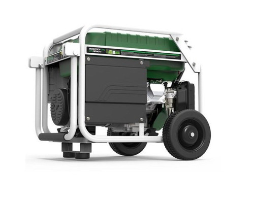 Генератор бензин - газ Genergy Natura 3000