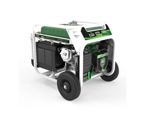 Генератор бензин - газ Genergy Natura 7000