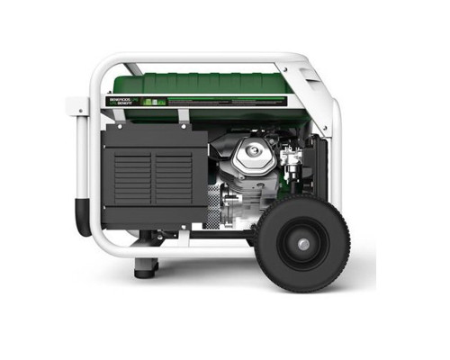 Генератор бензин - газ Genergy Natura 7000