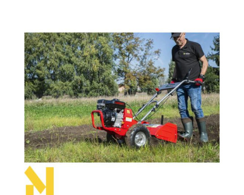 Мотокультиватор Faworyt SHT48F-196L