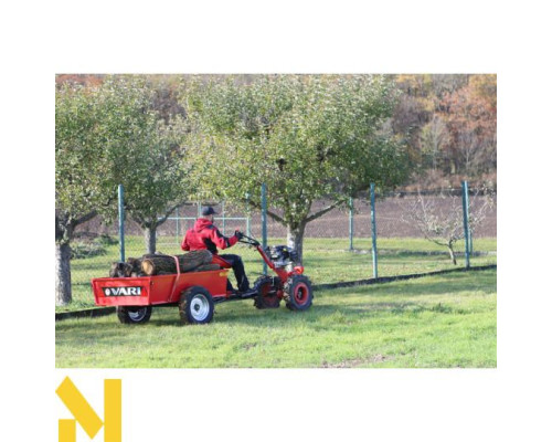 Мотоблок бензиновий VARI GLOBAL KOHLER PRO CV224