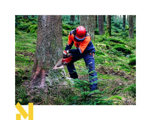 Пила ланцюгова акумуляторна Einhell Professional GP-LC 36/40 Li BL - Solo (без АКБ та ЗП)