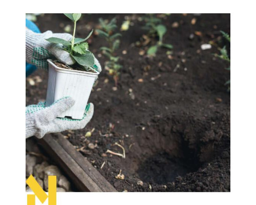 Мотобур Scheppach BAG2000-BE