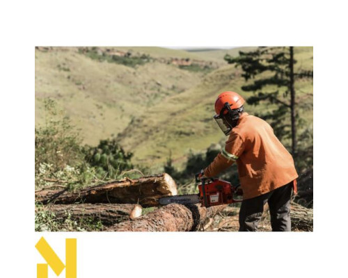 Бензопила Husqvarna 61