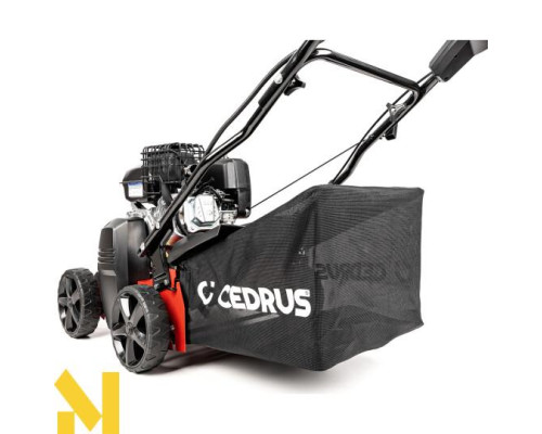 Скарифікатор бензиновий Cedrus WR01-B 2w1 (Briggs&Stratton CR950)