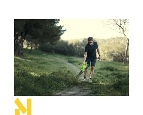 Набір інструментів акумуляторних GreenWorks G40AB + GD40CS40