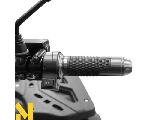 Вантажний квадроцикл акумуляторний HECHT FARMIS