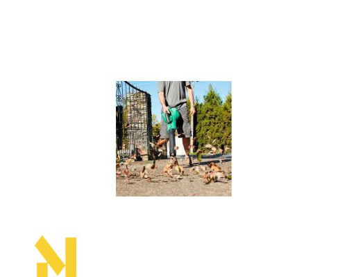 Повітродув садовий акумуляторний Hikoki RB36DAW4Z (без АКБ і ЗП)