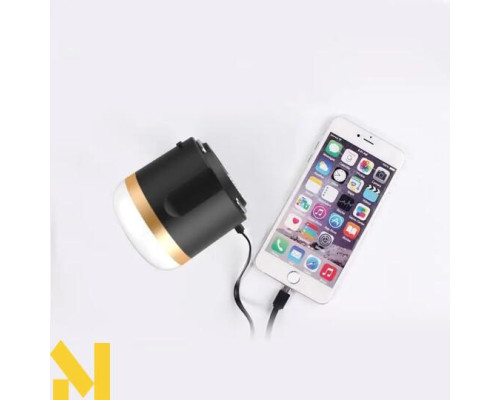 Ліхтарик-павербанк EcoFlow