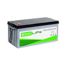 Акумулятор LiFe EcoLiFe 24-100P
