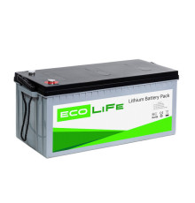 Акумулятор LiFe EcoLiFe 24-150P