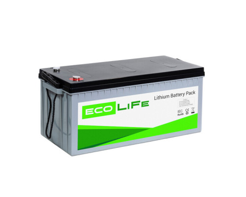 Акумулятор LiFe EcoLiFe 24-150P