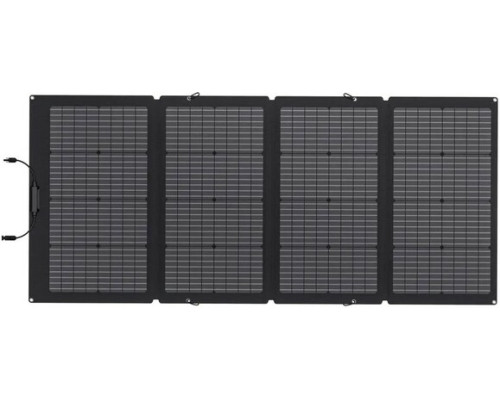 Набір EcoFlow Delta Mini (882 Вт·год / 1400 Вт) + 220W Solar Panel