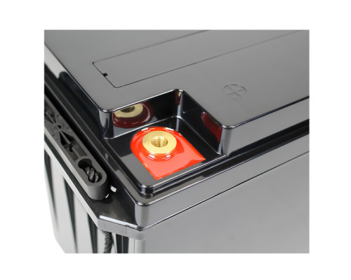 Акумулятор для ДБЖ LogicPower LiFePO4 12V-230 Ah BMS 150A/75A (LP20100)